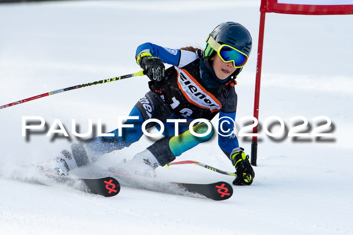 Ziener Kids Race Cross U12  Reg III + Ziener Cup WF