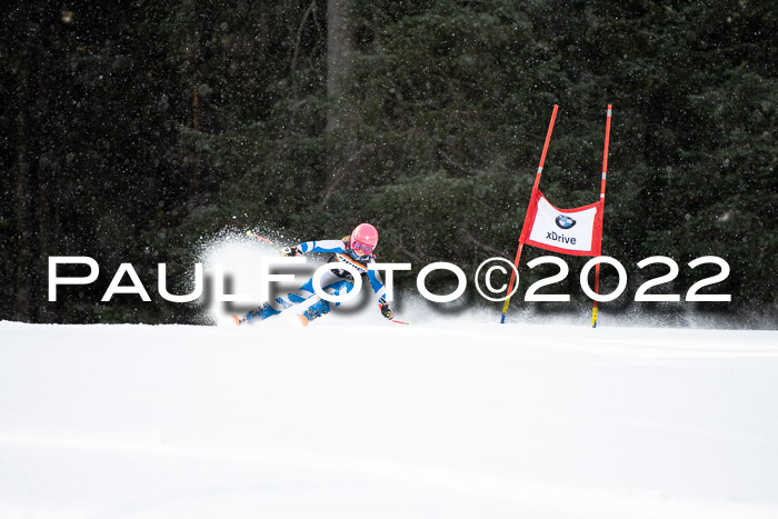 Ziener Kids Race Cross U12  Reg III + Ziener Cup WF