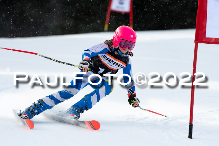 Ziener Kids Race Cross U12  Reg III + Ziener Cup WF