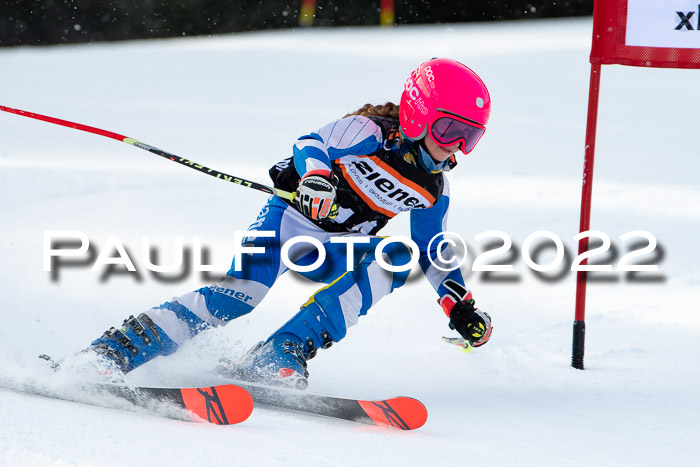 Ziener Kids Race Cross U12  Reg III + Ziener Cup WF