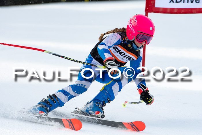 Ziener Kids Race Cross U12  Reg III + Ziener Cup WF