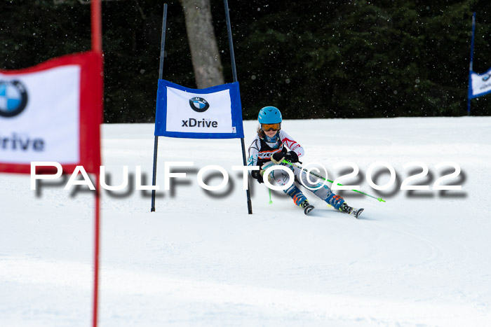 Ziener Kids Race Cross U12  Reg III + Ziener Cup WF