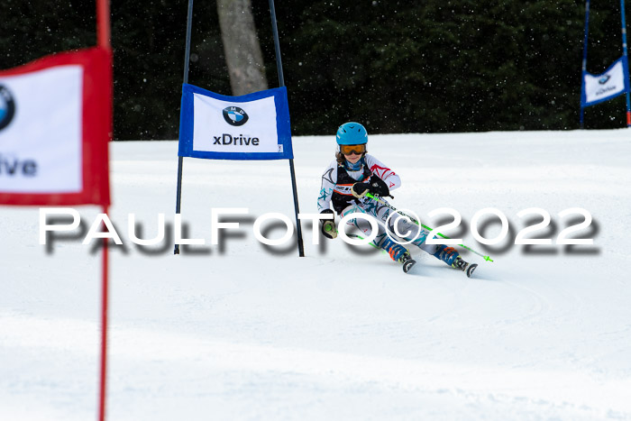 Ziener Kids Race Cross U12  Reg III + Ziener Cup WF