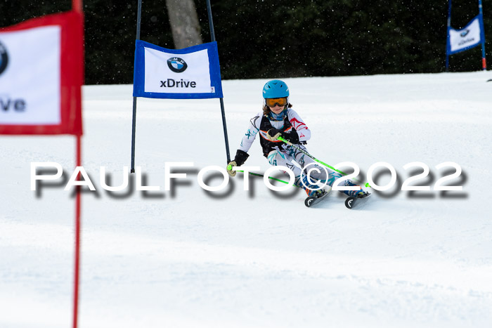 Ziener Kids Race Cross U12  Reg III + Ziener Cup WF