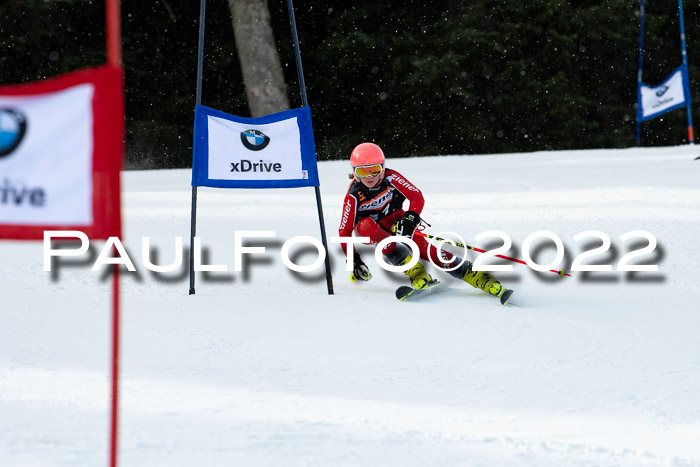 Ziener Kids Race Cross U12  Reg III + Ziener Cup WF