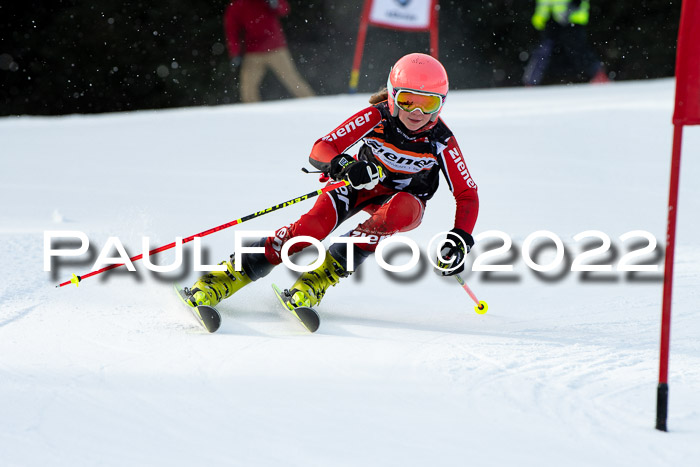 Ziener Kids Race Cross U12  Reg III + Ziener Cup WF