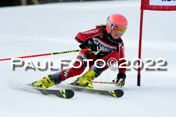 Ziener Kids Race Cross U12  Reg III + Ziener Cup WF