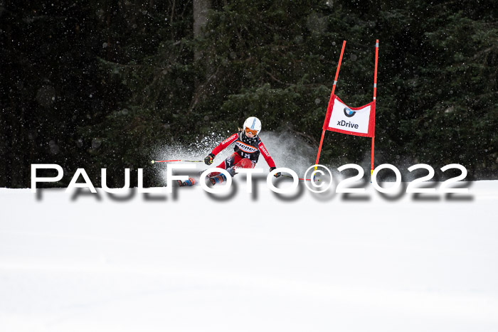 Ziener Kids Race Cross U12  Reg III + Ziener Cup WF