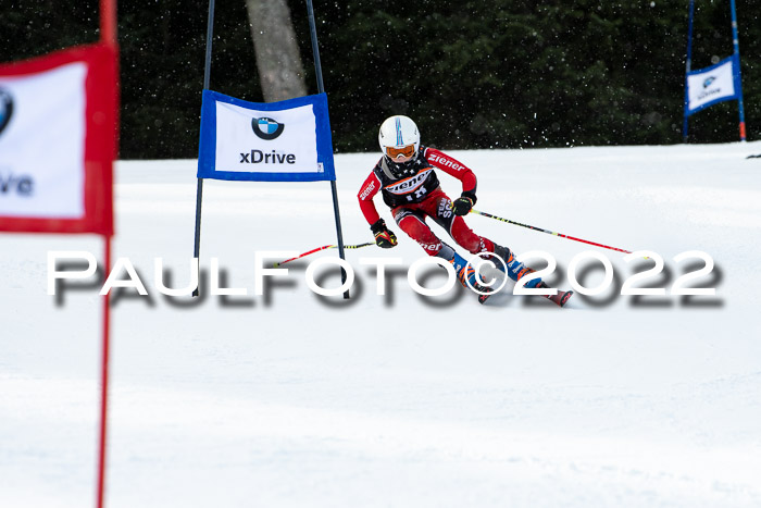 Ziener Kids Race Cross U12  Reg III + Ziener Cup WF