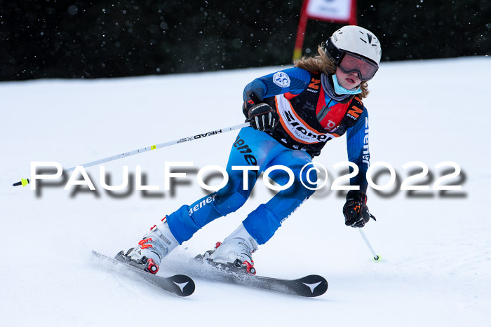 Ziener Kids Race Cross U12  Reg III + Ziener Cup WF