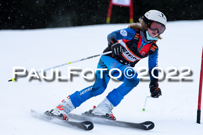 Ziener Kids Race Cross U12  Reg III + Ziener Cup WF