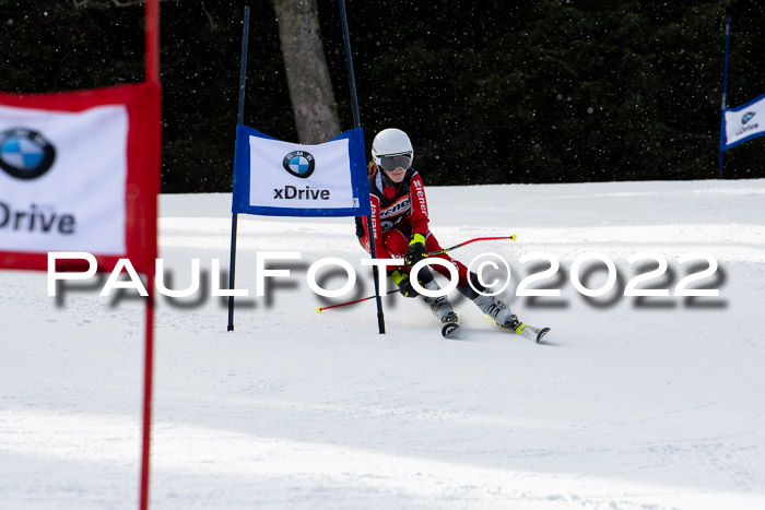 Ziener Kids Race Cross U12  Reg III + Ziener Cup WF