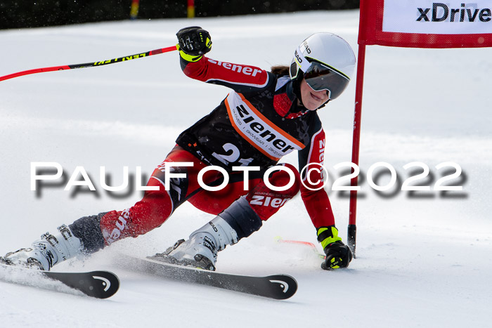 Ziener Kids Race Cross U12  Reg III + Ziener Cup WF