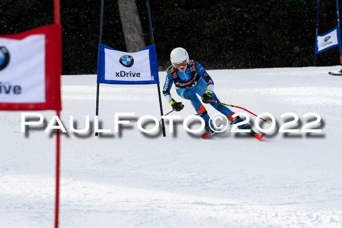 Ziener Kids Race Cross U12  Reg III + Ziener Cup WF