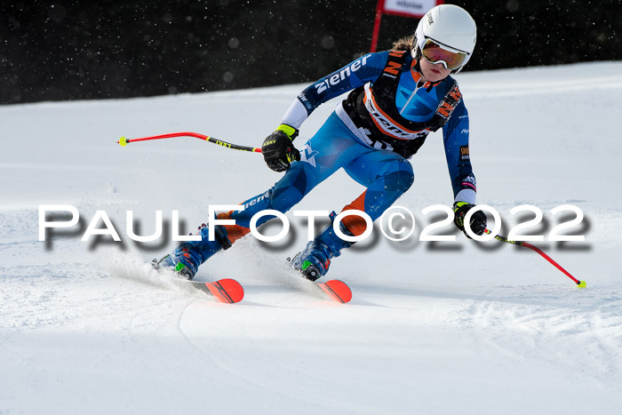 Ziener Kids Race Cross U12  Reg III + Ziener Cup WF