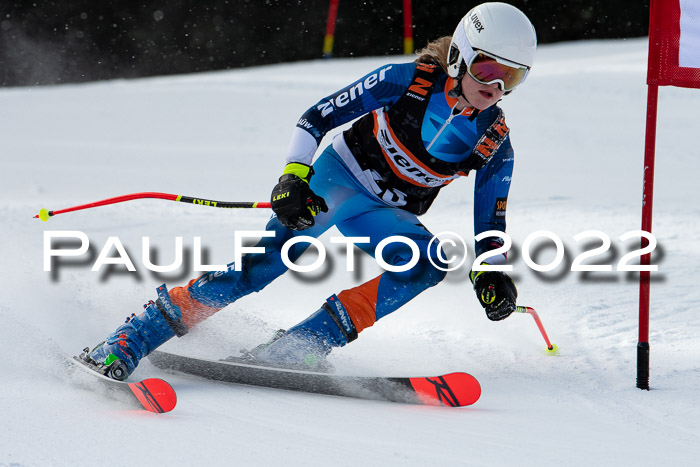 Ziener Kids Race Cross U12  Reg III + Ziener Cup WF