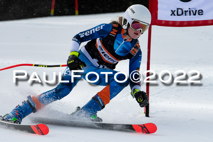 Ziener Kids Race Cross U12  Reg III + Ziener Cup WF