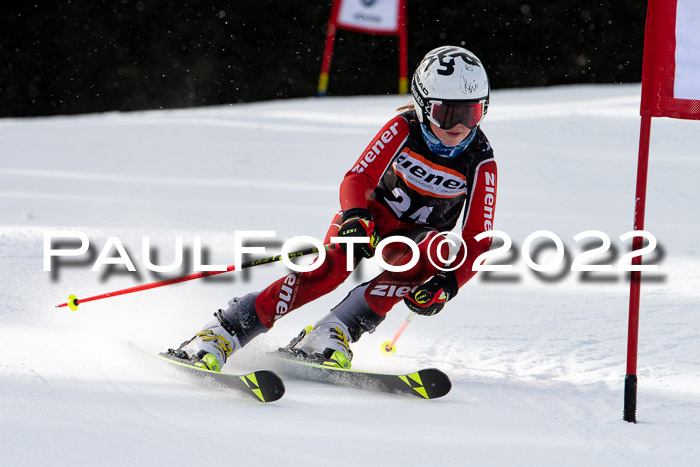 Ziener Kids Race Cross U12  Reg III + Ziener Cup WF