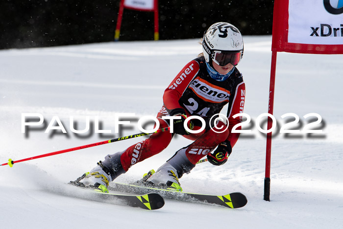 Ziener Kids Race Cross U12  Reg III + Ziener Cup WF