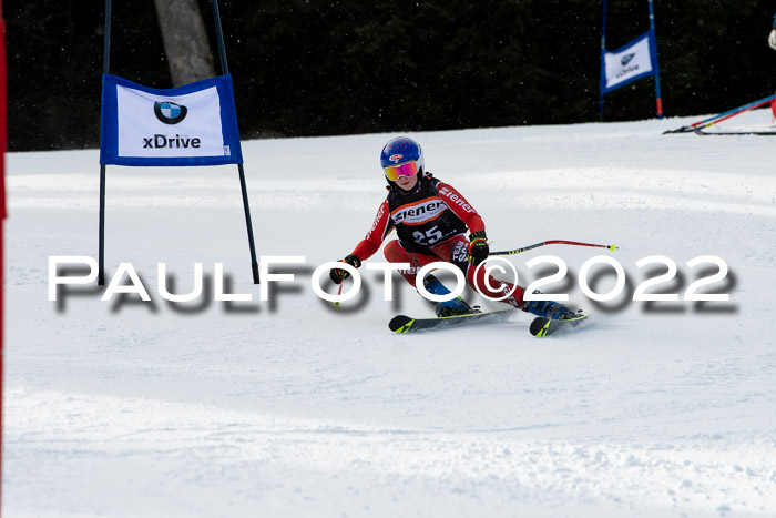 Ziener Kids Race Cross U12  Reg III + Ziener Cup WF