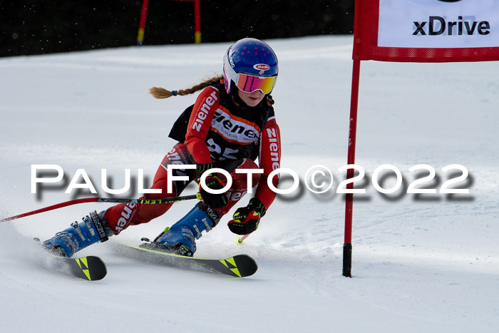 Ziener Kids Race Cross U12  Reg III + Ziener Cup WF