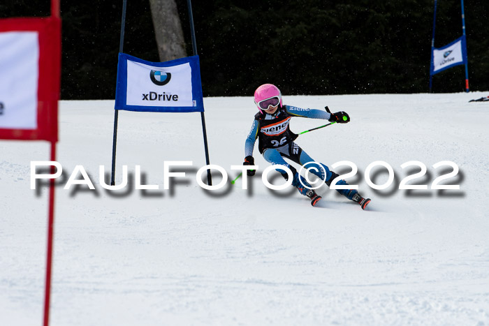 Ziener Kids Race Cross U12  Reg III + Ziener Cup WF