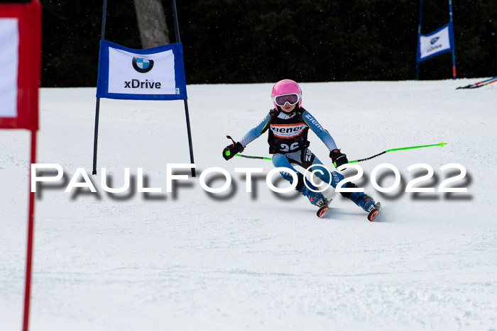 Ziener Kids Race Cross U12  Reg III + Ziener Cup WF