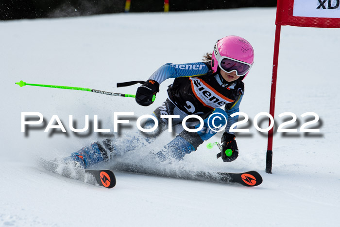 Ziener Kids Race Cross U12  Reg III + Ziener Cup WF