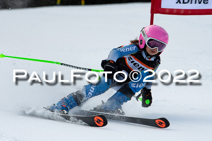 Ziener Kids Race Cross U12  Reg III + Ziener Cup WF