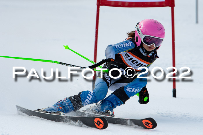 Ziener Kids Race Cross U12  Reg III + Ziener Cup WF