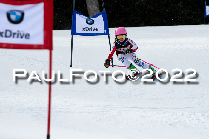 Ziener Kids Race Cross U12  Reg III + Ziener Cup WF