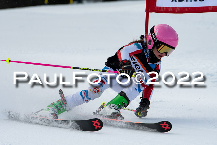 Ziener Kids Race Cross U12  Reg III + Ziener Cup WF