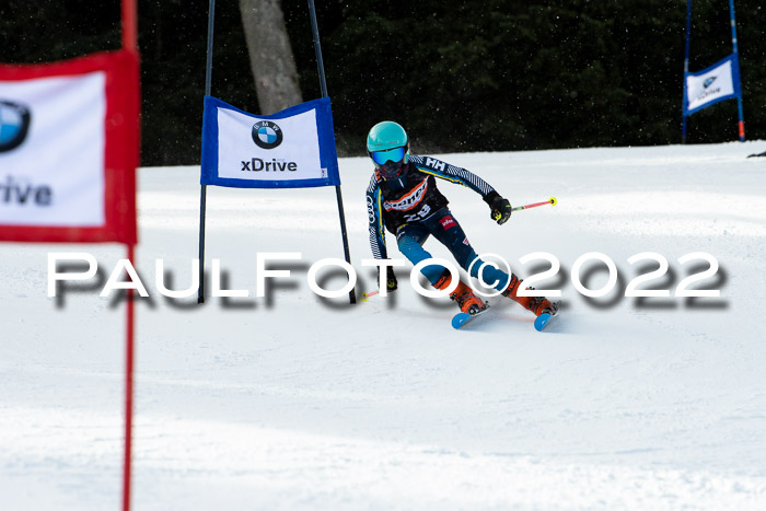 Ziener Kids Race Cross U12  Reg III + Ziener Cup WF