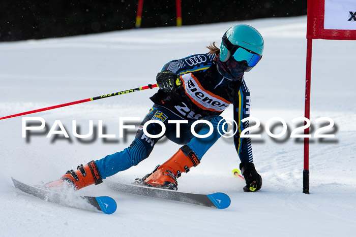 Ziener Kids Race Cross U12  Reg III + Ziener Cup WF