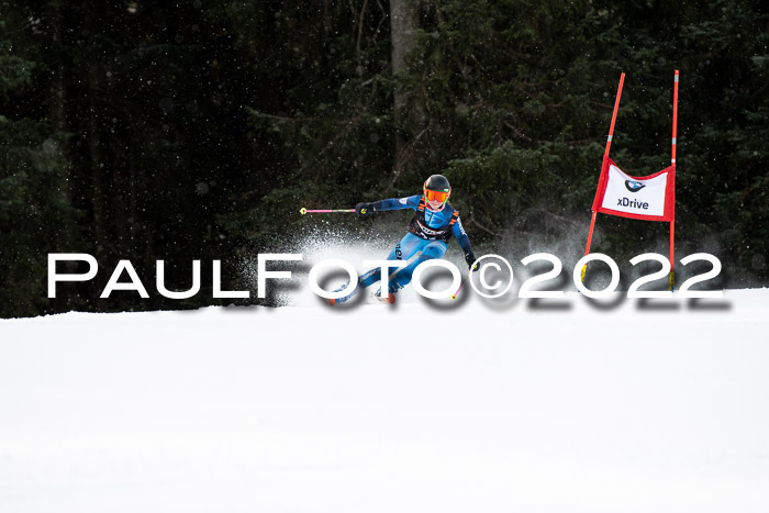 Ziener Kids Race Cross U12  Reg III + Ziener Cup WF