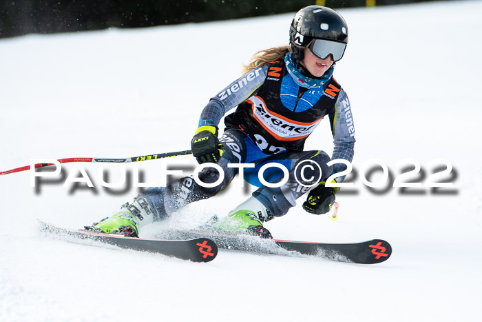 Ziener Kids Race Cross U12  Reg III + Ziener Cup WF