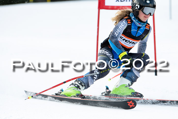 Ziener Kids Race Cross U12  Reg III + Ziener Cup WF