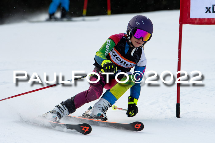 Ziener Kids Race Cross U12  Reg III + Ziener Cup WF