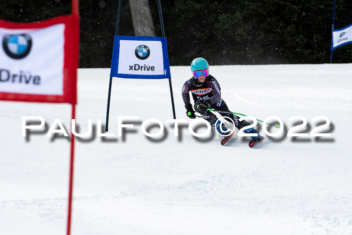 Ziener Kids Race Cross U12  Reg III + Ziener Cup WF