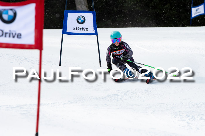 Ziener Kids Race Cross U12  Reg III + Ziener Cup WF