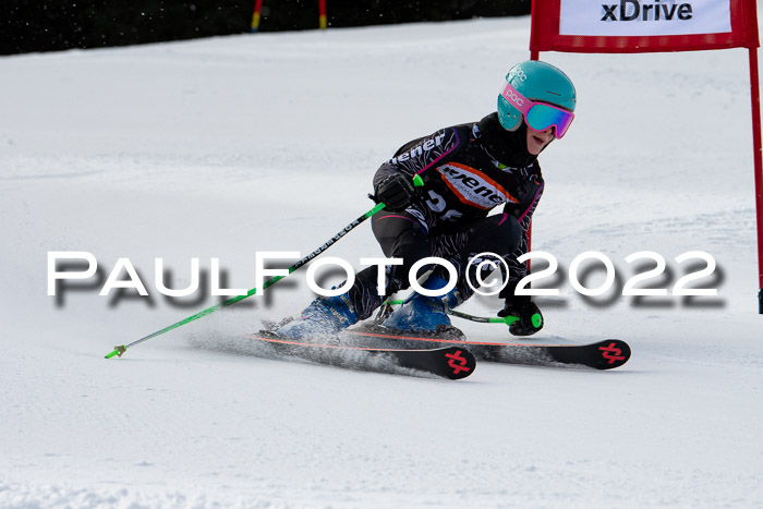 Ziener Kids Race Cross U12  Reg III + Ziener Cup WF