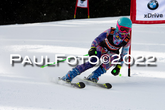 Ziener Kids Race Cross U12  Reg III + Ziener Cup WF