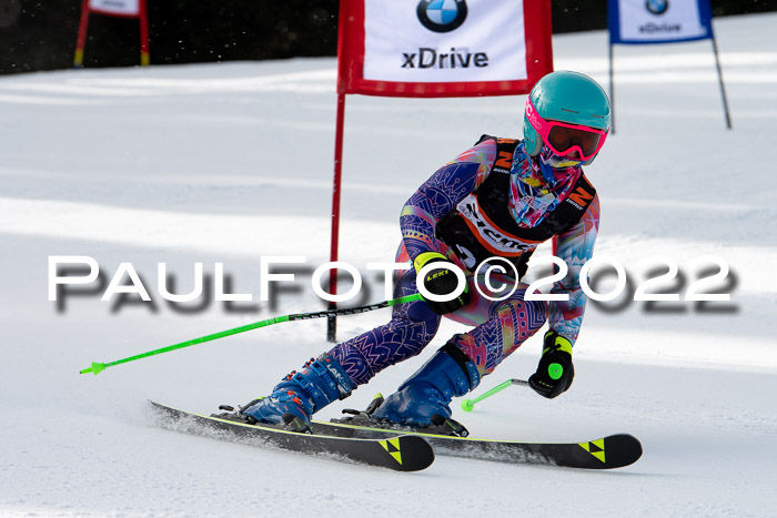 Ziener Kids Race Cross U12  Reg III + Ziener Cup WF