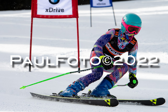 Ziener Kids Race Cross U12  Reg III + Ziener Cup WF