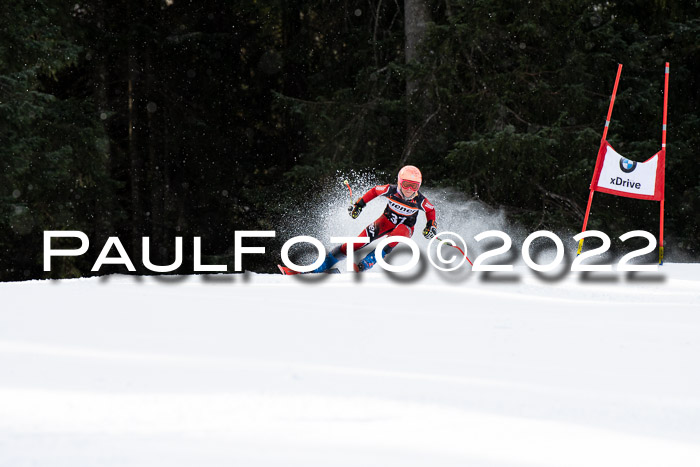 Ziener Kids Race Cross U12  Reg III + Ziener Cup WF