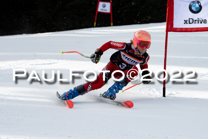Ziener Kids Race Cross U12  Reg III + Ziener Cup WF