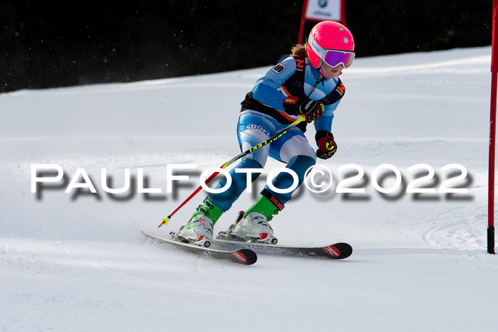 Ziener Kids Race Cross U12  Reg III + Ziener Cup WF
