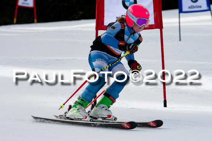 Ziener Kids Race Cross U12  Reg III + Ziener Cup WF