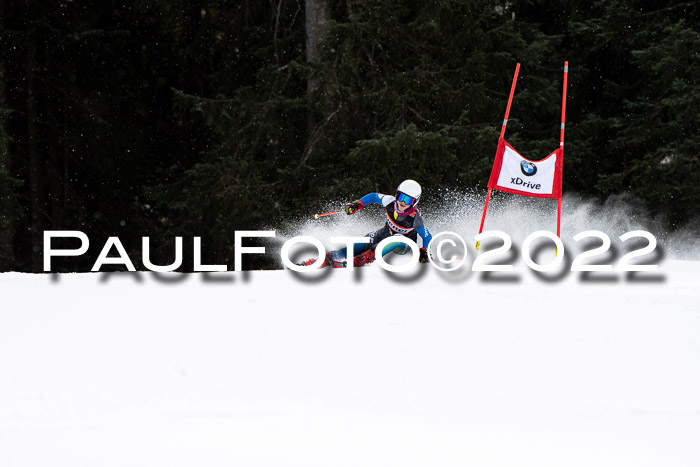 Ziener Kids Race Cross U12  Reg III + Ziener Cup WF