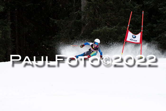 Ziener Kids Race Cross U12  Reg III + Ziener Cup WF